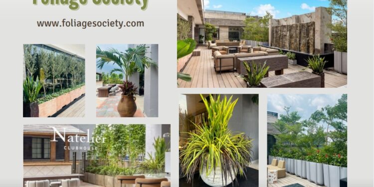 Foliage Society: Elevating Restaurant Ambiance with Exquisite Greenery