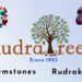 Discover the Healing Power of Gemstones in Bangalore with RudraTree